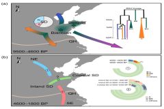 山东古代人群古DNA研究取得突破性进展