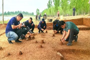 五一我在岗|在考古工地感受劳动之美