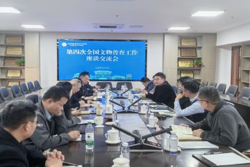 我院组织召开第四次全国文物普查工作座谈交流会